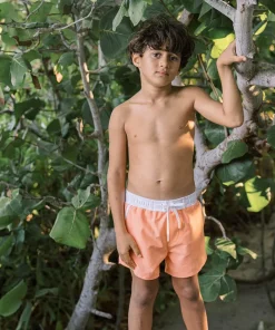 minnow Boys Boardie Calypso Coral Online