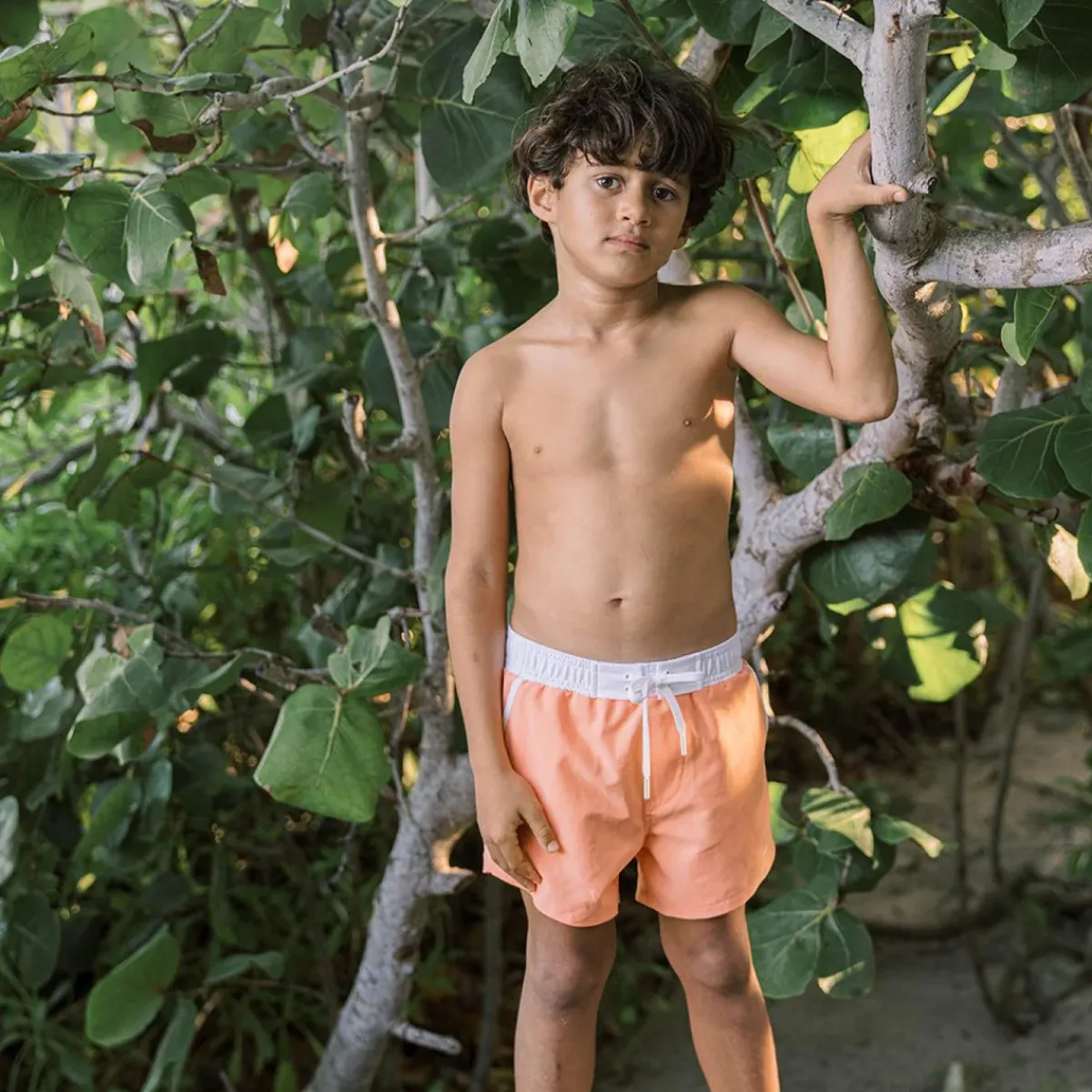 minnow Boys Boardie Calypso Coral Online