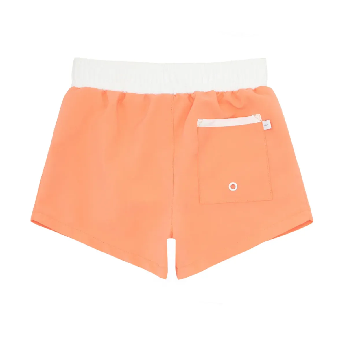 minnow Boys Boardie Calypso Coral Online