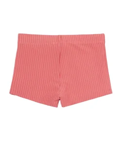 minnow Boys Brief New England Red Discount