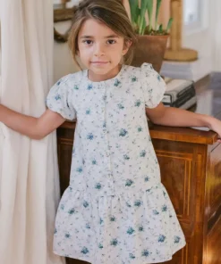 minnow Girls Brock Collection X Drop Waist Dress Classic Fleur Online