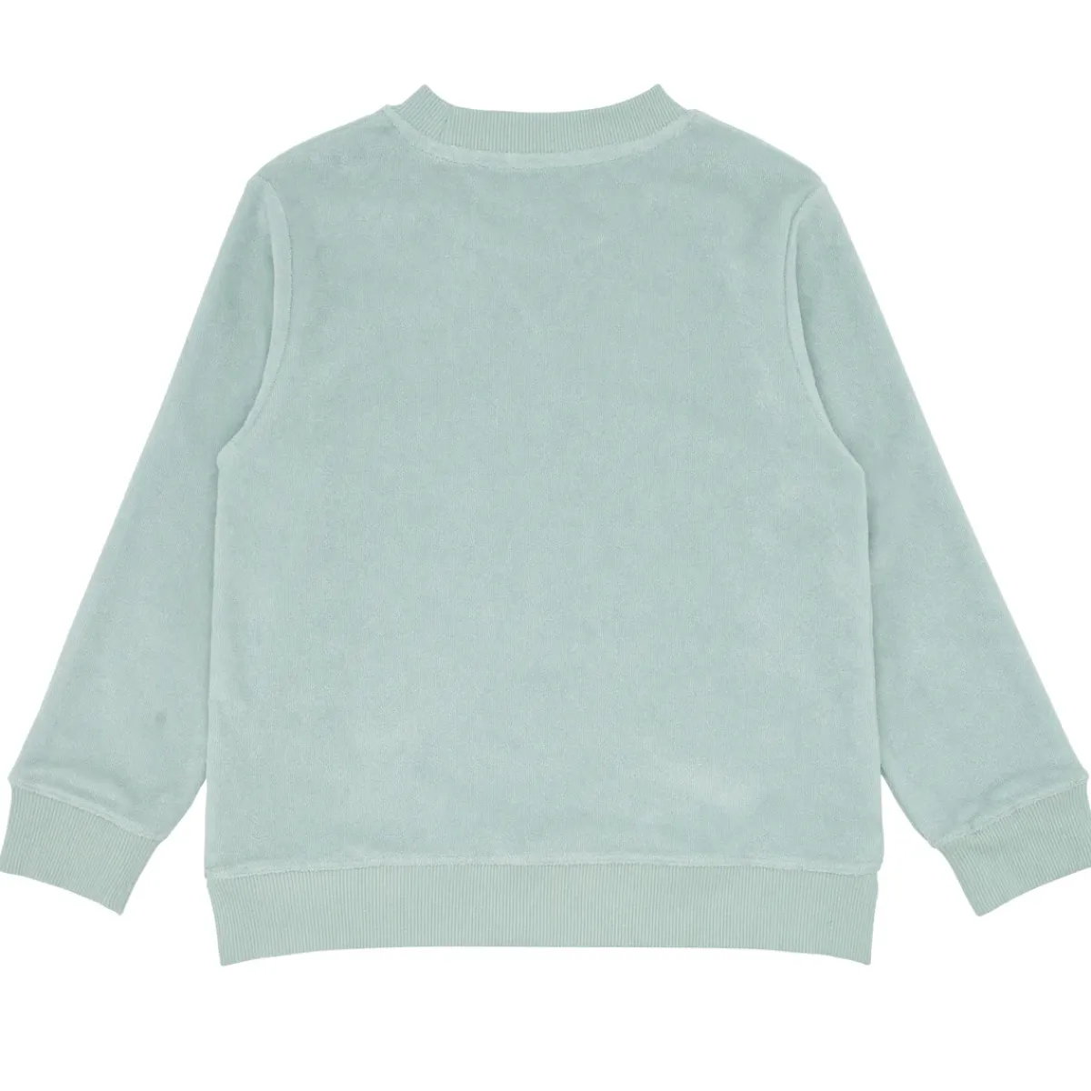minnow Unisex French Terry Sweatshirt | Swim Sage Best