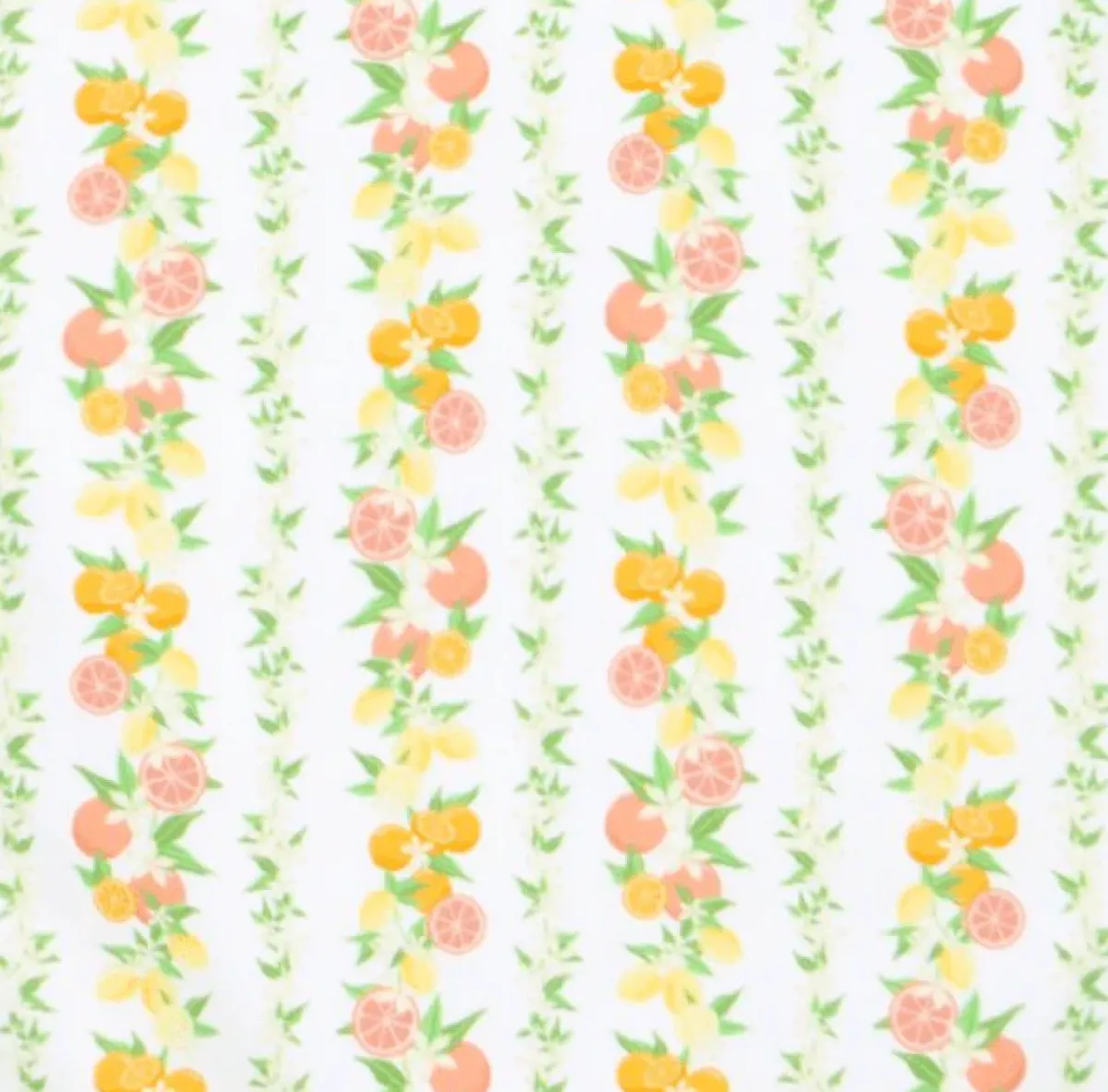 minnow Women's Rashguard One Piece Linear Citrus New